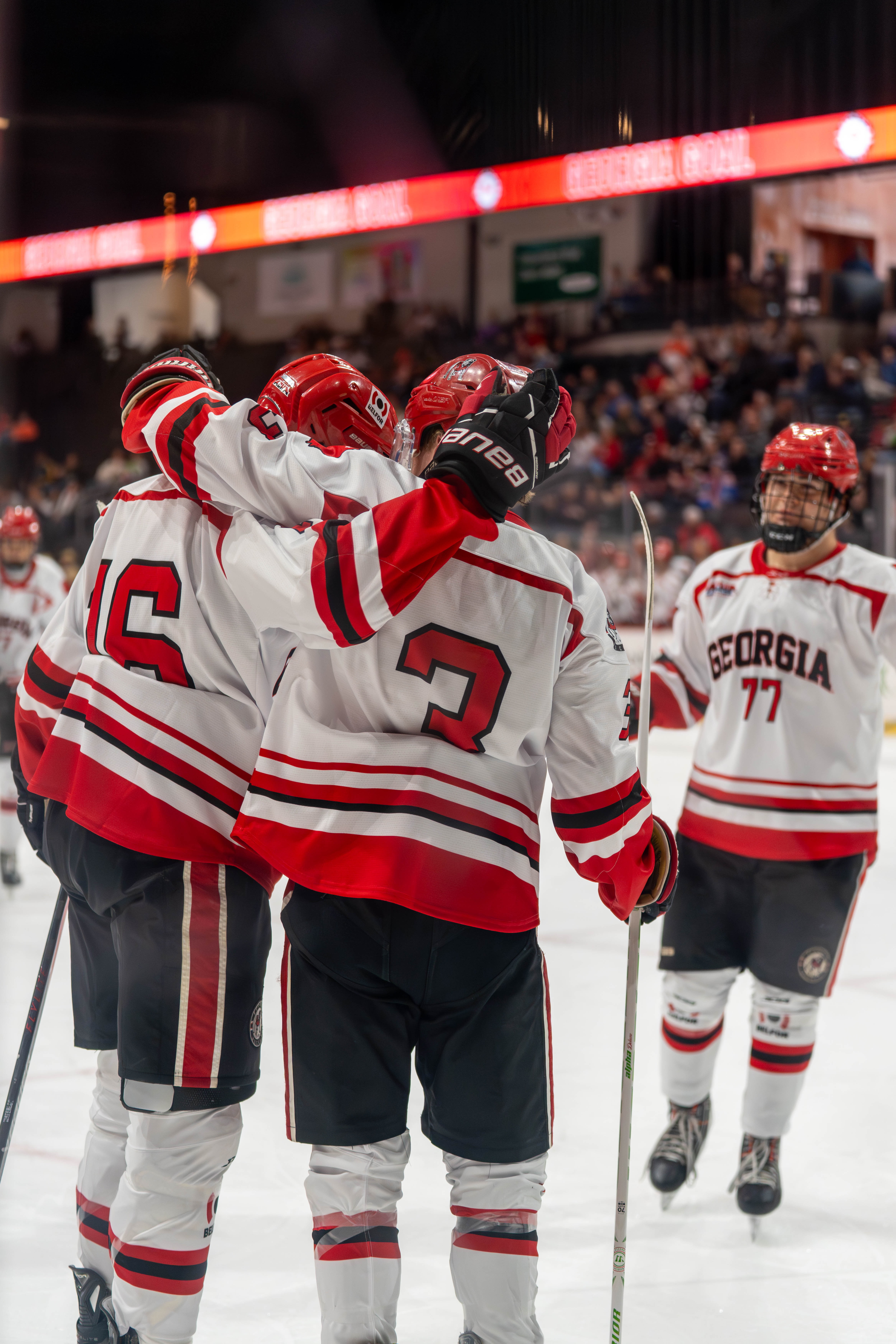 UGA Hockey in-game action shot