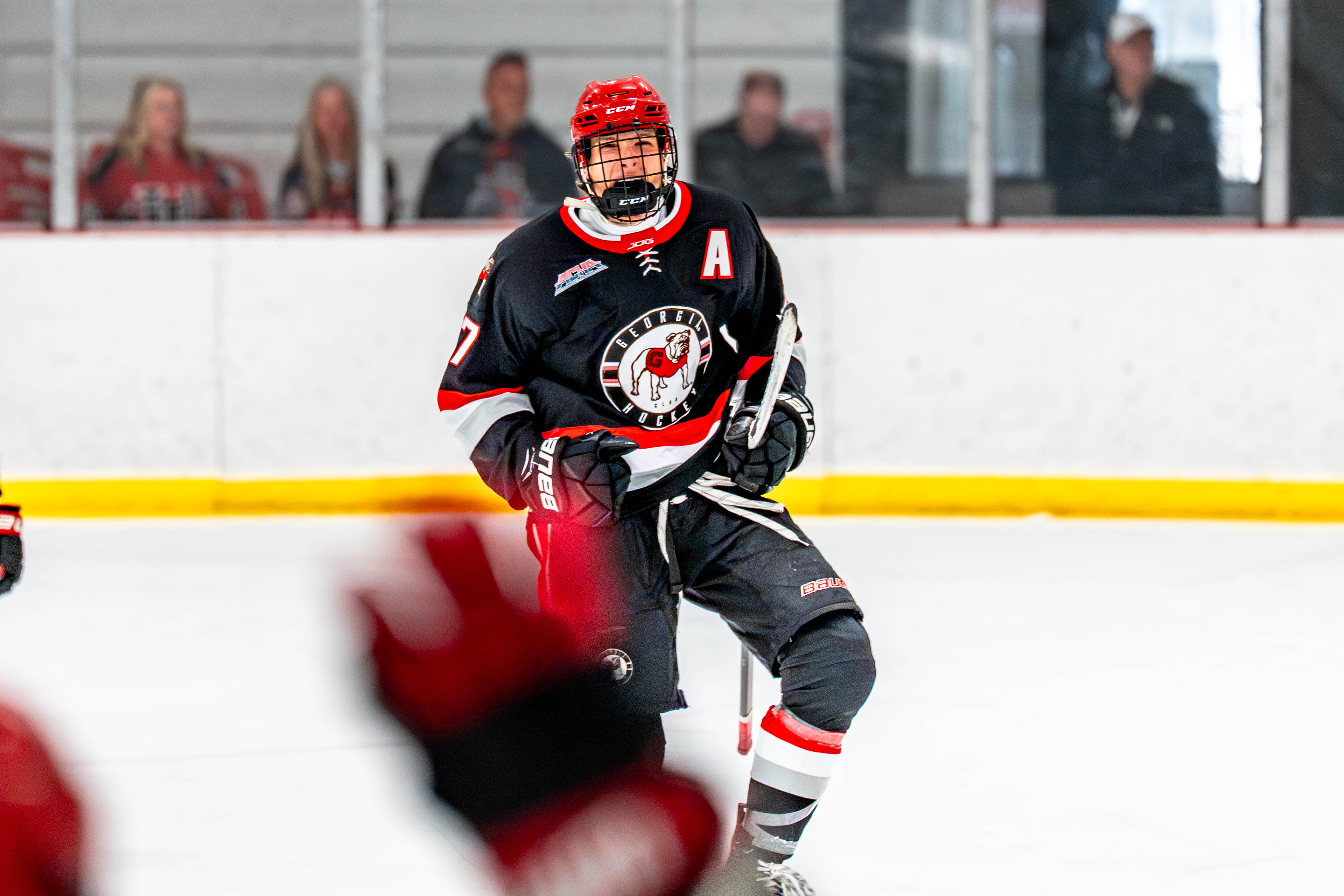 UGA Hockey in-game action shot